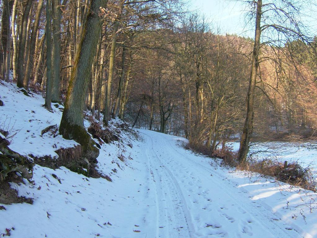 Fliederhof Ferienwohnungen Herresbach Bilik gambar