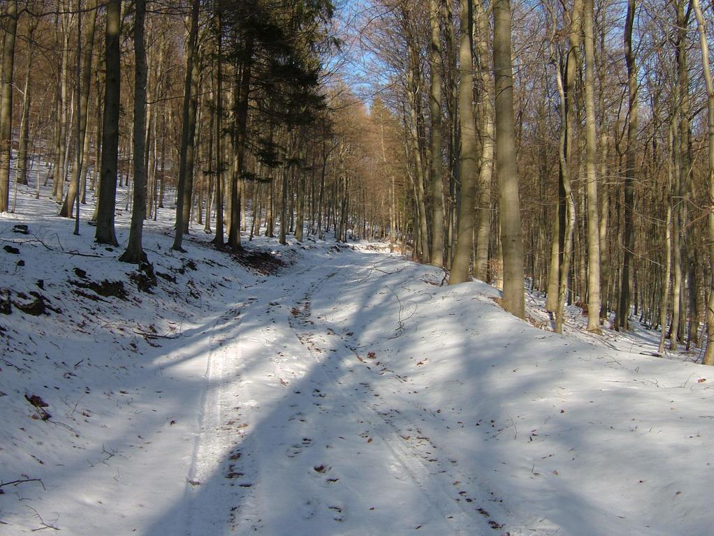 Fliederhof Ferienwohnungen Herresbach Bilik gambar