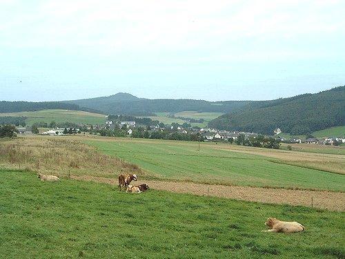 Fliederhof Ferienwohnungen Herresbach Bilik gambar