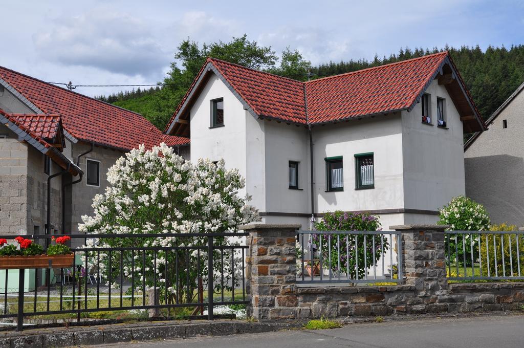 Fliederhof Ferienwohnungen Herresbach Bilik gambar